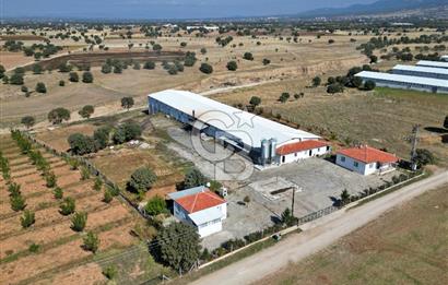 CB OPİA'DAN " ÇALIŞIR DURUMDA FULL OTOMASYON TAVUK ÇİFTLİĞİ "