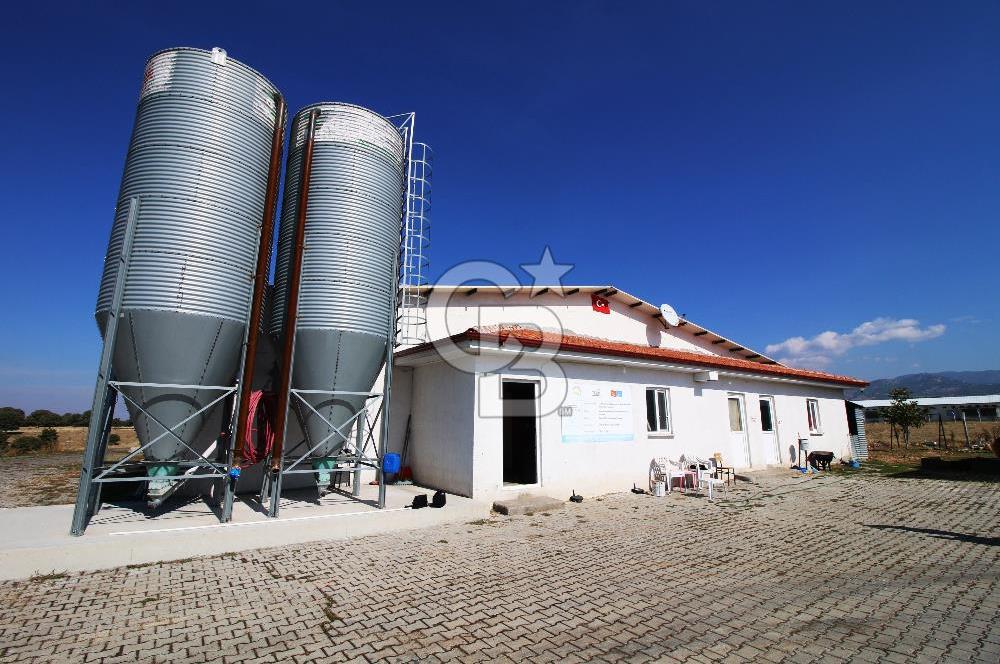 CB OPİA'DAN " ÇALIŞIR DURUMDA FULL OTOMASYON TAVUK ÇİFTLİĞİ "