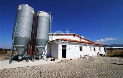 CB OPİA'DAN " ÇALIŞIR DURUMDA FULL OTOMASYON TAVUK ÇİFTLİĞİ "