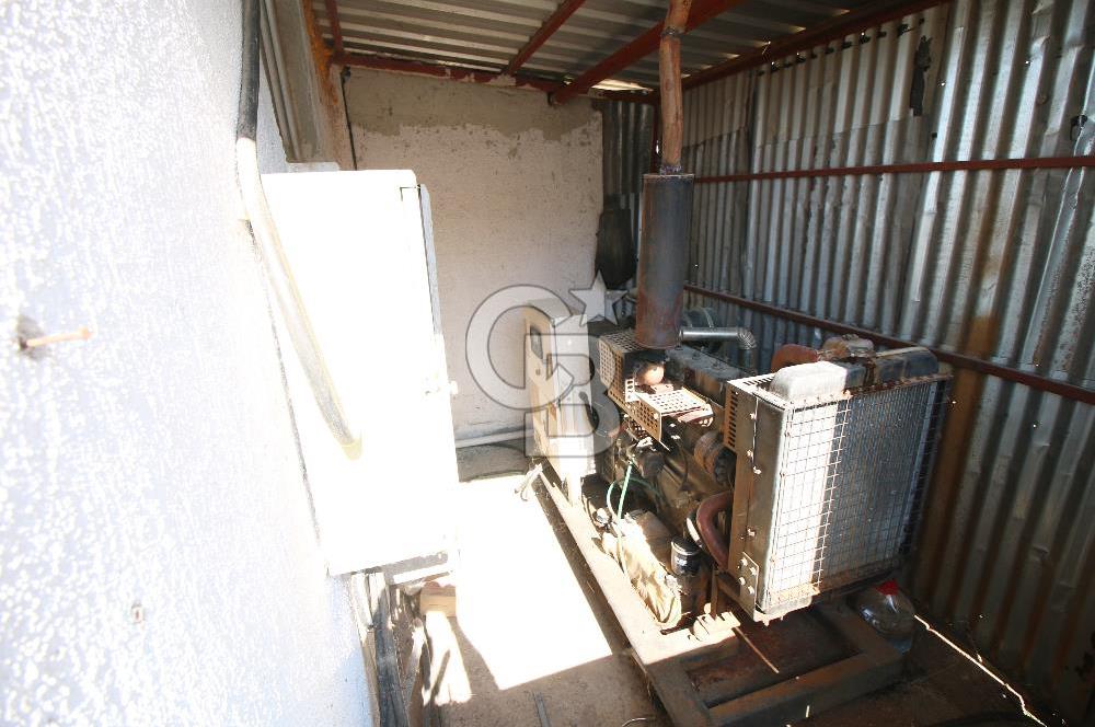 CB OPİA'DAN " ÇALIŞIR DURUMDA FULL OTOMASYON TAVUK ÇİFTLİĞİ "