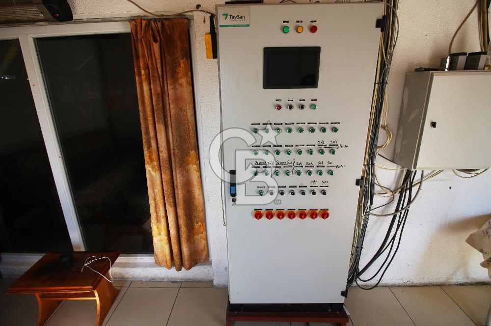 CB OPİA'DAN " ÇALIŞIR DURUMDA FULL OTOMASYON TAVUK ÇİFTLİĞİ "