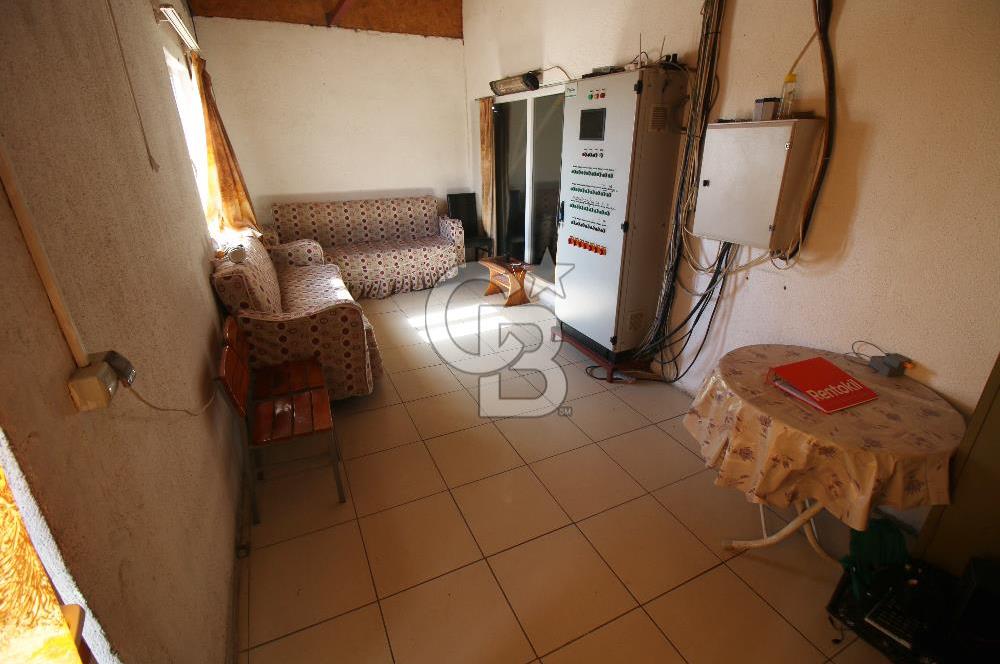 CB OPİA'DAN " ÇALIŞIR DURUMDA FULL OTOMASYON TAVUK ÇİFTLİĞİ "