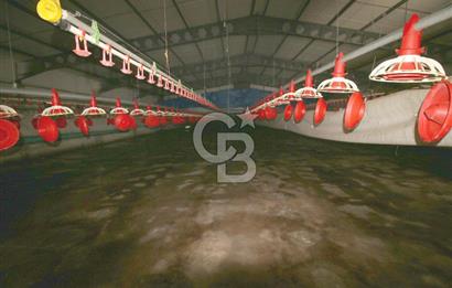 CB OPİA'DAN " ÇALIŞIR DURUMDA FULL OTOMASYON TAVUK ÇİFTLİĞİ "