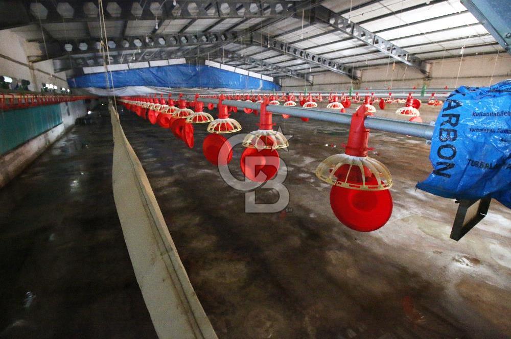CB OPİA'DAN " ÇALIŞIR DURUMDA FULL OTOMASYON TAVUK ÇİFTLİĞİ "