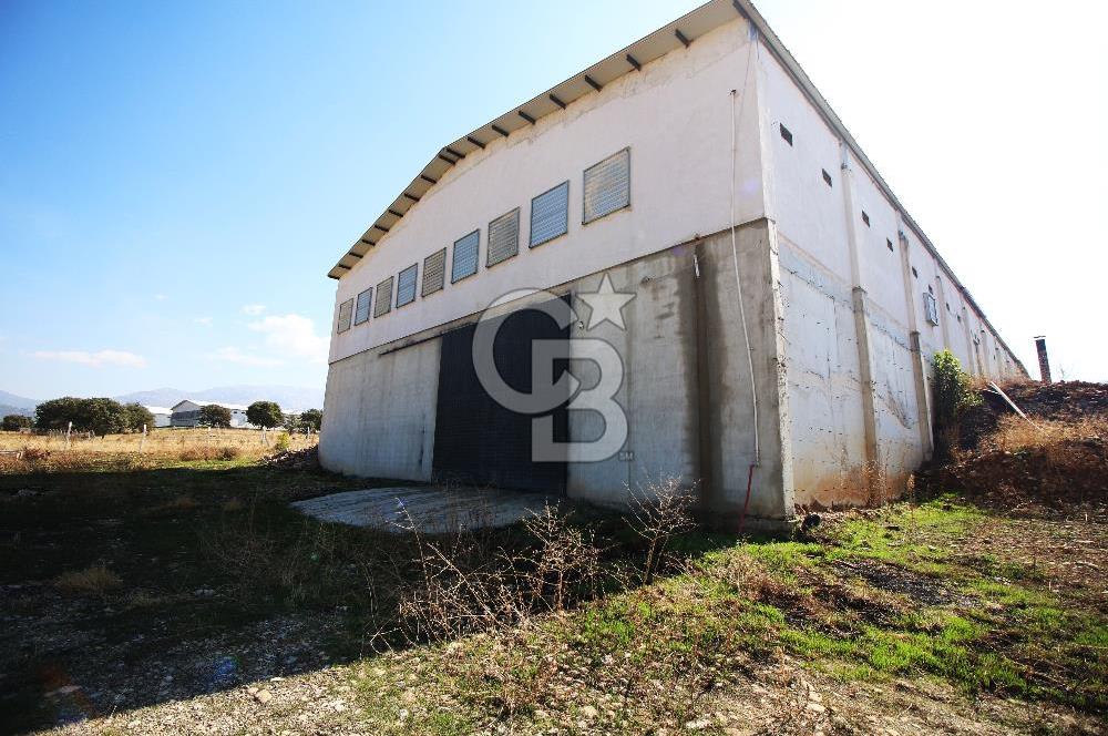 CB OPİA'DAN " ÇALIŞIR DURUMDA FULL OTOMASYON TAVUK ÇİFTLİĞİ "