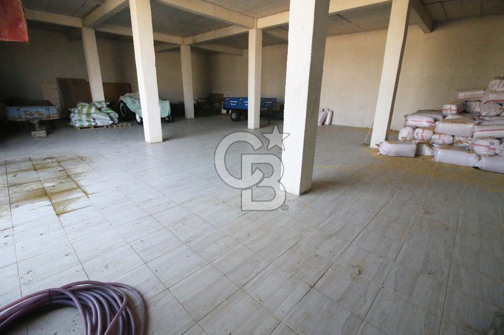 CB OPİA'DAN " ÇALIŞIR DURUMDA FULL OTOMASYON TAVUK ÇİFTLİĞİ "