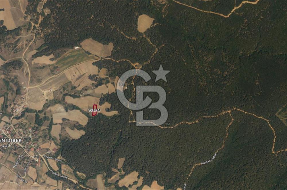 Tekirdağ Malkara Yenidibek Mahallesinde Yatırımlık Tarla Fırsatı