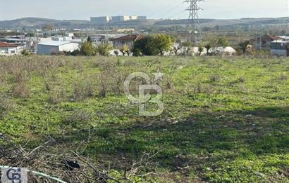 CB CLASS MUDANYA HASKÖY 9.254,68 M2 SATILIK TARLA
