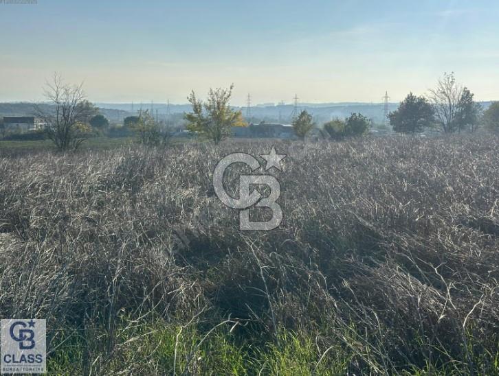 CB CLASS MUDANYA HASKÖY 11.965,17 M2 SATILIK TARLA