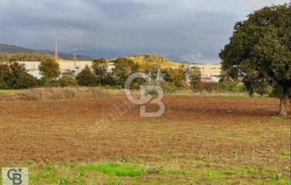 CB CLASS OSMANGAZİ ALAŞAR 35.197,31 M2 SATILIK TARLA