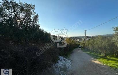 CB CLASS ALAŞAR 2 PARSEL TOPLAM 5.884,13 M2 SATILIK TARLA