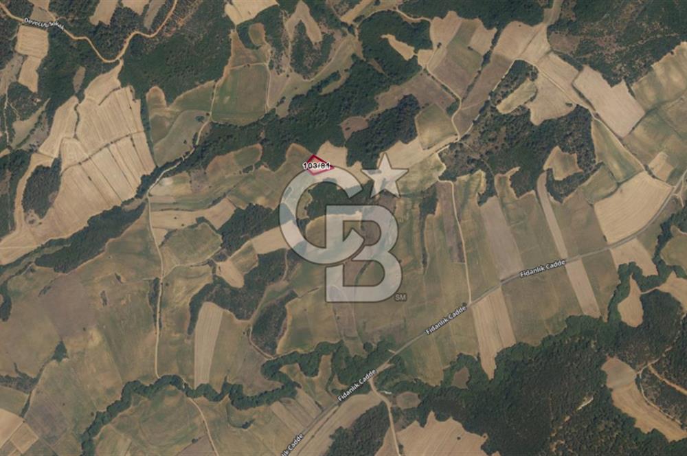 Tekirdağ Malkara Yenidibek Mahallesinde Yatırımlık Tarla 2117 m²