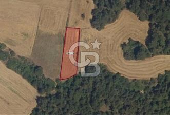 Tekirdağ Malkara Yenidibek Mahallesinde Yatırımlık Tarla Fırsatı - 2 - 316616