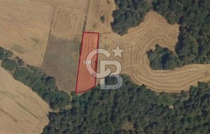 Tekirdağ Malkara Yenidibek Mahallesinde Yatırımlık Tarla Fırsatı