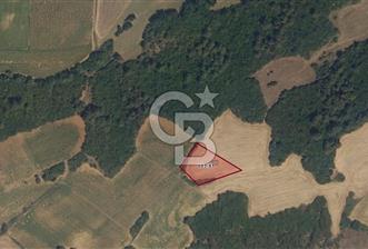 Tekirdağ Malkara Yenidibek Mahallesinde Yatırımlık Tarla 2117 m² - 1 - 316618