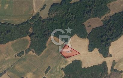 Tekirdağ Malkara Yenidibek Mahallesinde Yatırımlık Tarla 2117 m²