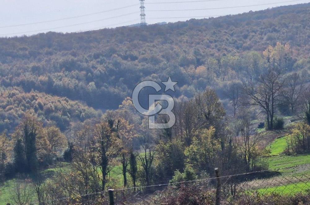 KOCAELİ GEBZE HATİPLER KÖYÜ 3548 M2 MÜSTAKİL TAPULU ARAZİ