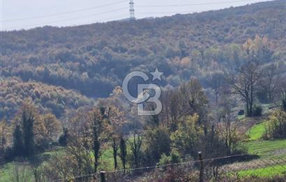 KOCAELİ GEBZE HATİPLER KÖYÜ 3548 M2 MÜSTAKİL TAPULU ARAZİ