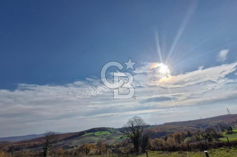 KOCAELİ GEBZE HATİPLER KÖYÜ 3548 M2 MÜSTAKİL TAPULU ARAZİ