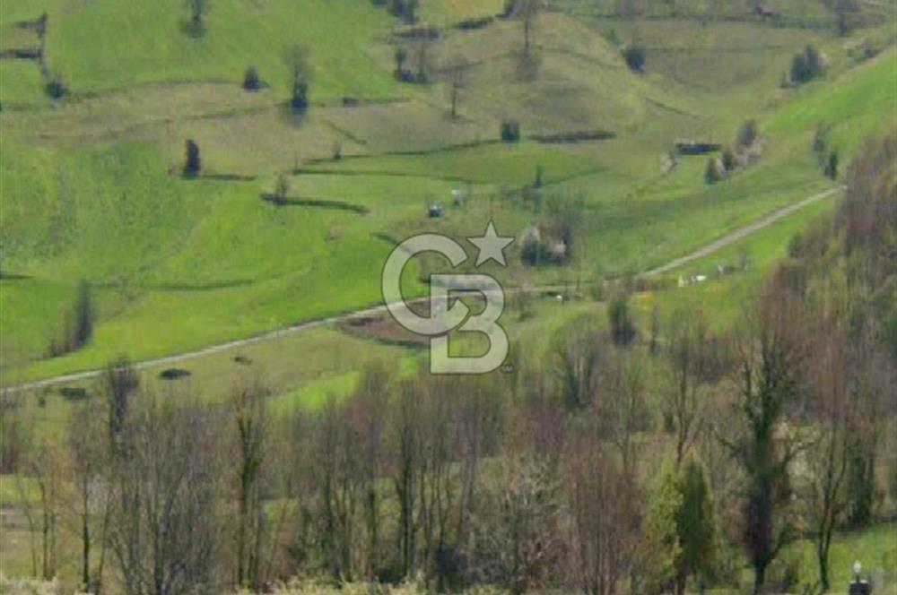 KOCAELİ GEBZE HATİPLER KÖYÜ 3548 M2 MÜSTAKİL TAPULU ARAZİ