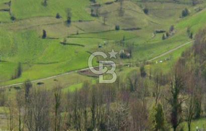 KOCAELİ GEBZE HATİPLER KÖYÜ 3548 M2 MÜSTAKİL TAPULU ARAZİ