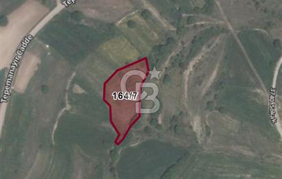 KOCAELİ GEBZE HATİPLER KÖYÜ 3548 M2 MÜSTAKİL TAPULU ARAZİ