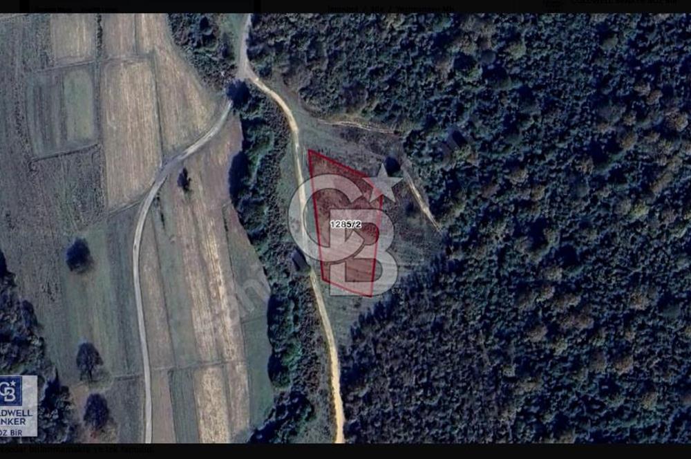 ŞİLE YAZIMANAYIR KÖYÜ 'NDE YOLA CEPHELİ 2872 m2 SATILIK ARAZİ