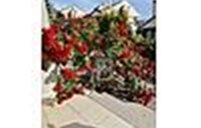 ALACAATLI GÜVENLİKLİ SİTE İÇİNDE SATILIK KÖŞE VİLLA TERCİH EDENLER 