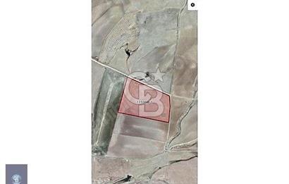 GÖLBAŞI ÇİMŞİTDE YOLA YAKIN TARLA