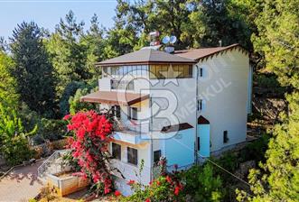 MUAZZAM MANZARASI İLE ORMAN İÇİ SATILIK FIRSAT VİLLA - 9 - 316664