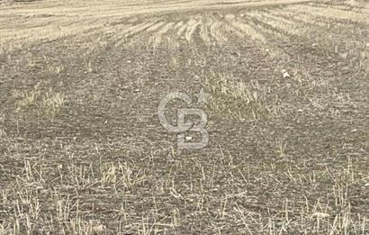 CB SITKI ŞİMŞEK'TEN HACILAR EMSAL ARTIŞ BÖLGESİNDE ARSALAR