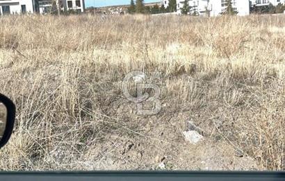 CB SITKI ŞİMŞEK'TEN HACILAR EMSAL ARTIŞ BÖLGESİNDE ARSALAR