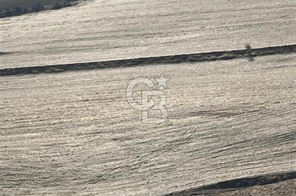 CB SITKI ŞİMŞEK'TEN HACILAR EMSAL ARTIŞ BÖLGESİNDE ARSALAR