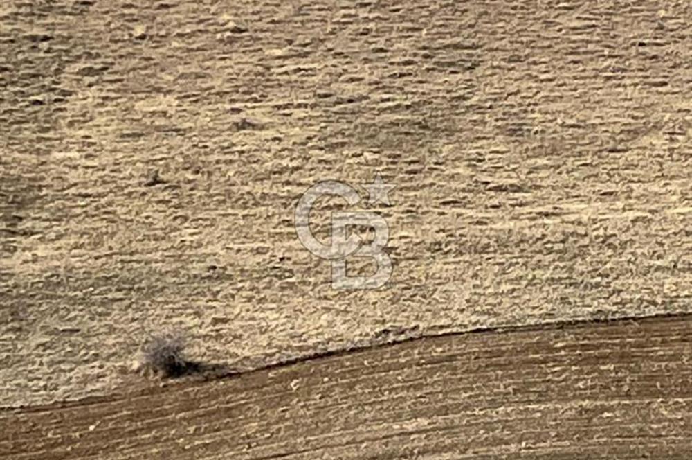 CB SITKI ŞİMŞEK'TEN HACILAR EMSAL ARTIŞ BÖLGESİNDE ARSALAR