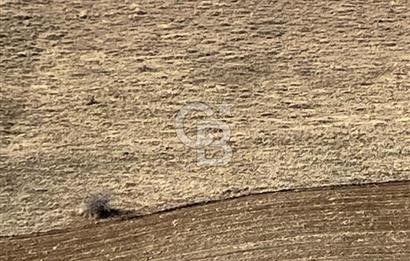 CB SITKI ŞİMŞEK'TEN HACILAR EMSAL ARTIŞ BÖLGESİNDE ARSALAR