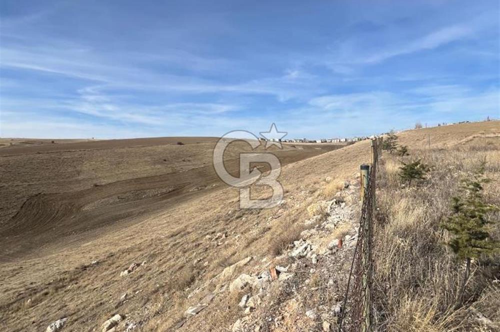 CB SITKI ŞİMŞEK'TEN HACILAR EMSAL ARTIŞ BÖLGESİNDE ARSALAR