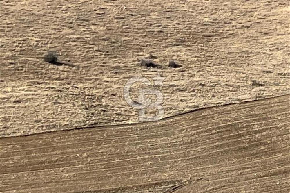 CB SITKI ŞİMŞEK'TEN HACILAR EMSAL ARTIŞ BÖLGESİNDE ARSALAR