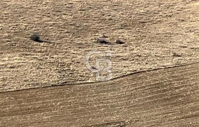 CB SITKI ŞİMŞEK'TEN HACILAR EMSAL ARTIŞ BÖLGESİNDE ARSALAR