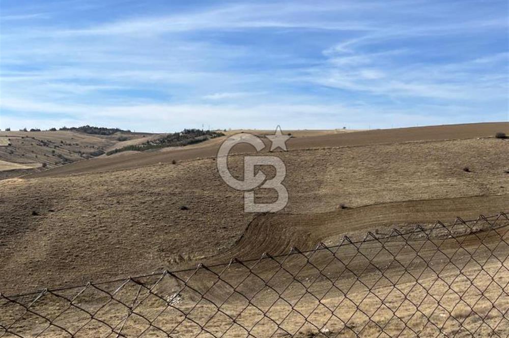 CB SITKI ŞİMŞEK'TEN HACILAR EMSAL ARTIŞ BÖLGESİNDE ARSALAR