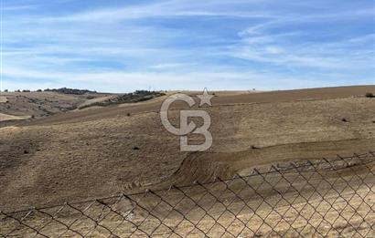 CB SITKI ŞİMŞEK'TEN HACILAR EMSAL ARTIŞ BÖLGESİNDE ARSALAR