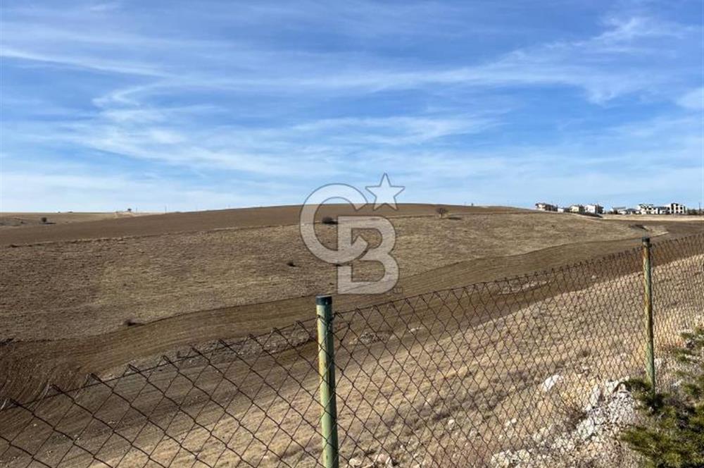 CB SITKI ŞİMŞEK'TEN HACILAR EMSAL ARTIŞ BÖLGESİNDE ARSALAR