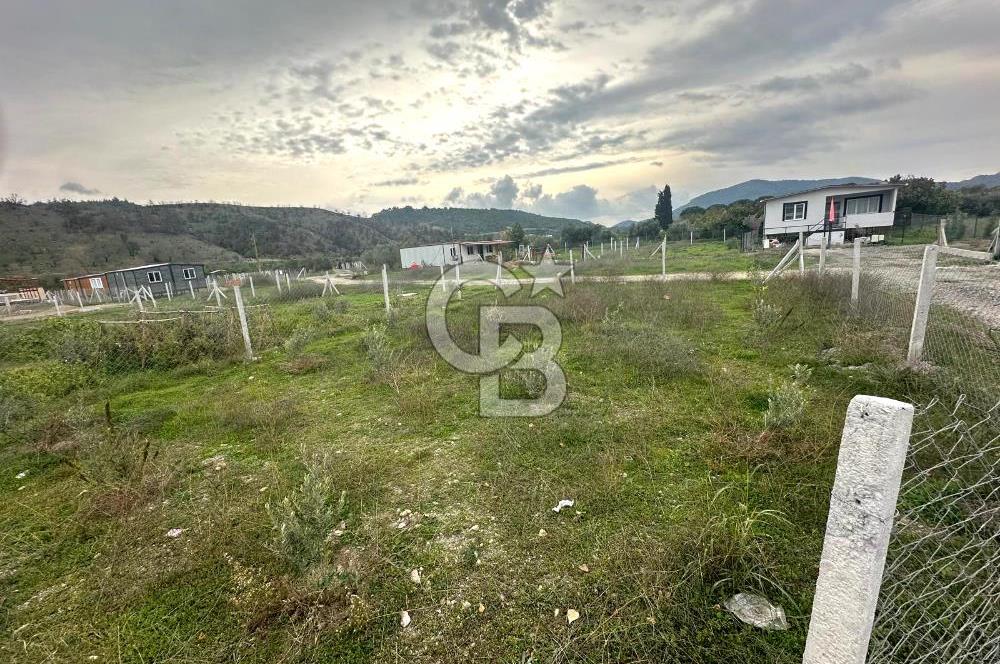 Kavakdere'de 243m2 Resmi Tapulu Bahçe-Elektrik & Su Hazır