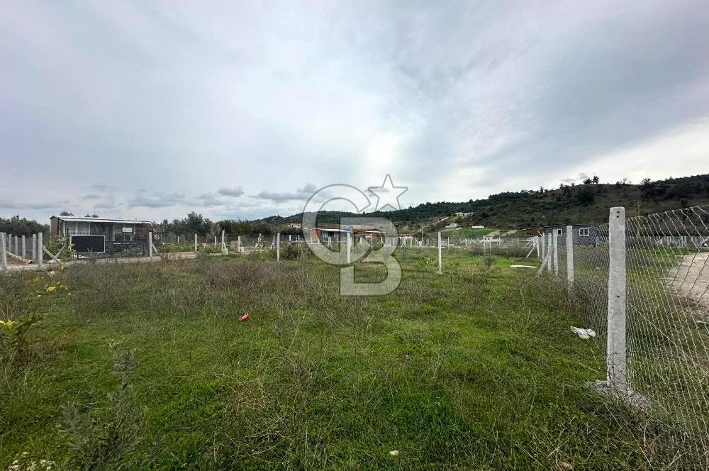 Kavakdere'de 243m2 Resmi Tapulu Bahçe-Elektrik & Su Hazır