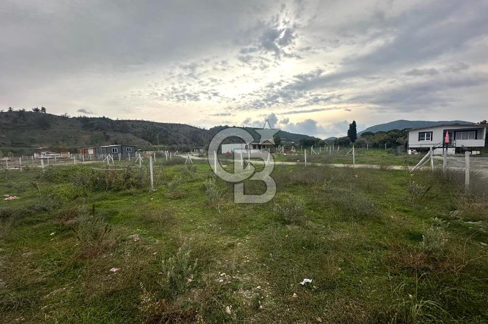 Kavakdere'de 243m2 Resmi Tapulu Bahçe-Elektrik & Su Hazır