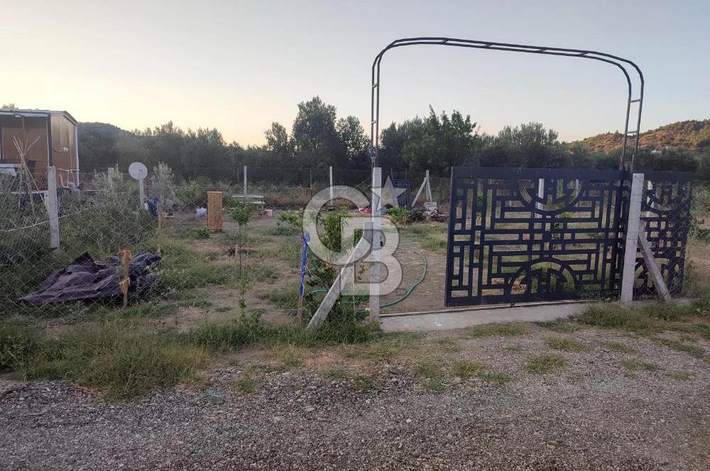 Kavakdere'de 243m2 Resmi Tapulu Bahçe-Elektrik & Su Hazır