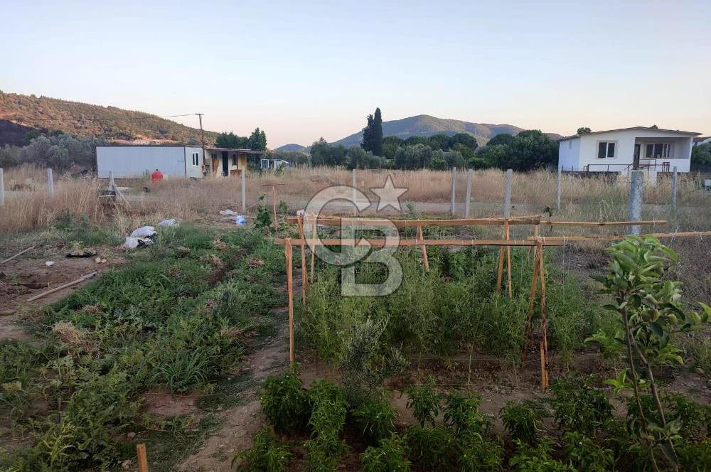 Kavakdere'de 243m2 Resmi Tapulu Bahçe-Elektrik & Su Hazır