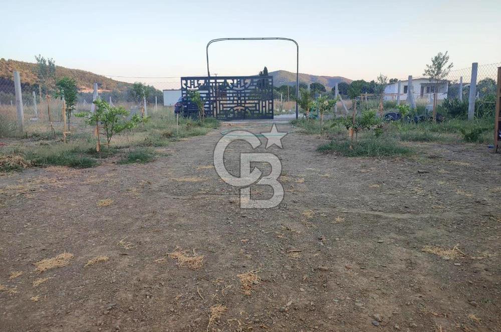 Kavakdere'de 243m2 Resmi Tapulu Bahçe-Elektrik & Su Hazır