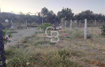 Kavakdere'de 243m2 Resmi Tapulu Bahçe-Elektrik & Su Hazır