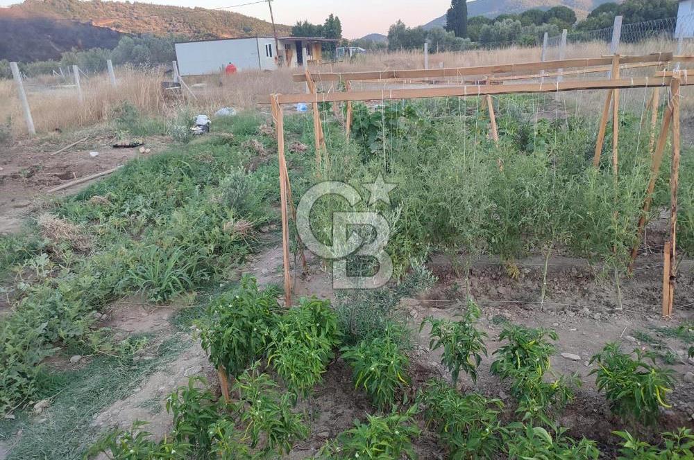 Kavakdere'de 243m2 Resmi Tapulu Bahçe-Elektrik & Su Hazır