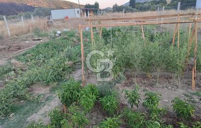 Kavakdere'de 243m2 Resmi Tapulu Bahçe-Elektrik & Su Hazır